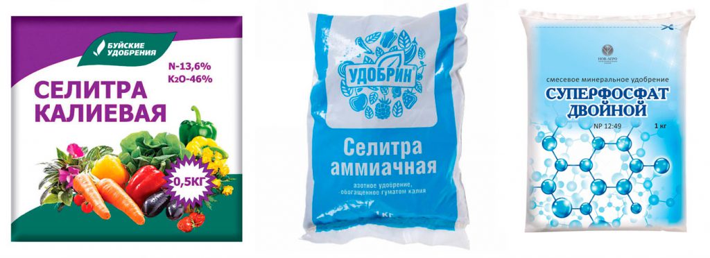 особенности выращивания огурцов на балконе. Смотреть фото особенности выращивания огурцов на балконе. Смотреть картинку особенности выращивания огурцов на балконе. Картинка про особенности выращивания огурцов на балконе. Фото особенности выращивания огурцов на балконе