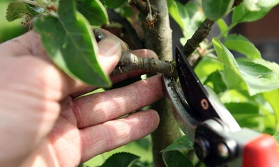 foto28220-2 (4)