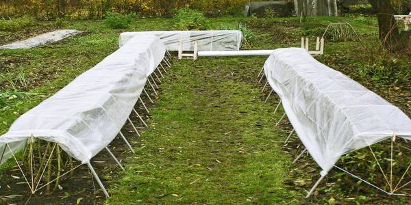 fotografie 30786_1
