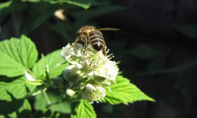 fotografie 32101_5