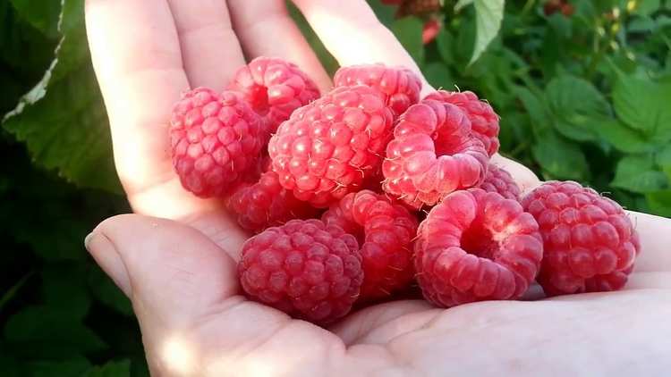 fotografie 33531_7
